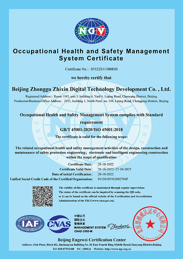 05322S31300R0S- D1.2 管理体系证书 英文 A4 双标 5-职业健康
